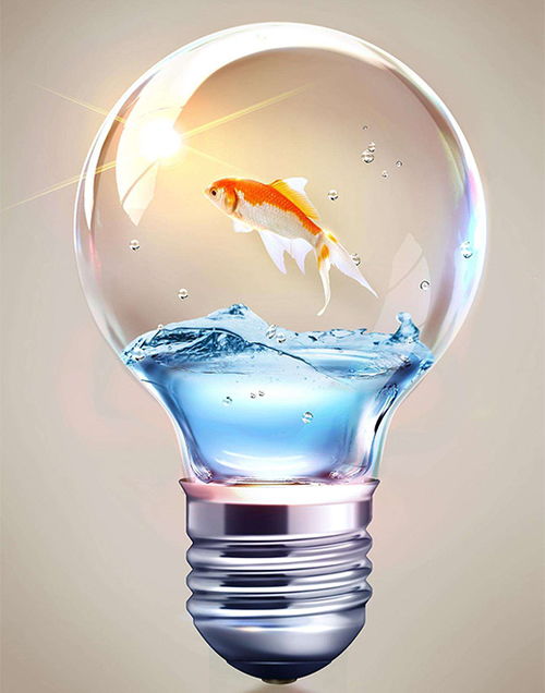 中國照明 化劣勢為優(yōu)勢 巧用促銷聚集人氣