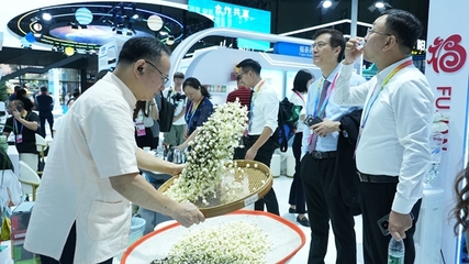 閩榕茶業亮相第四屆中國-非洲經貿博覽會，推動茶業經貿合作新篇章